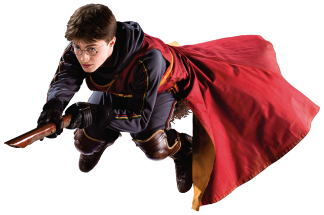 Potter and the Snitch